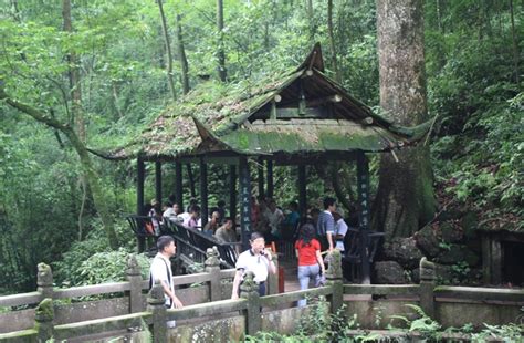 山刺青 成都怎麼樣